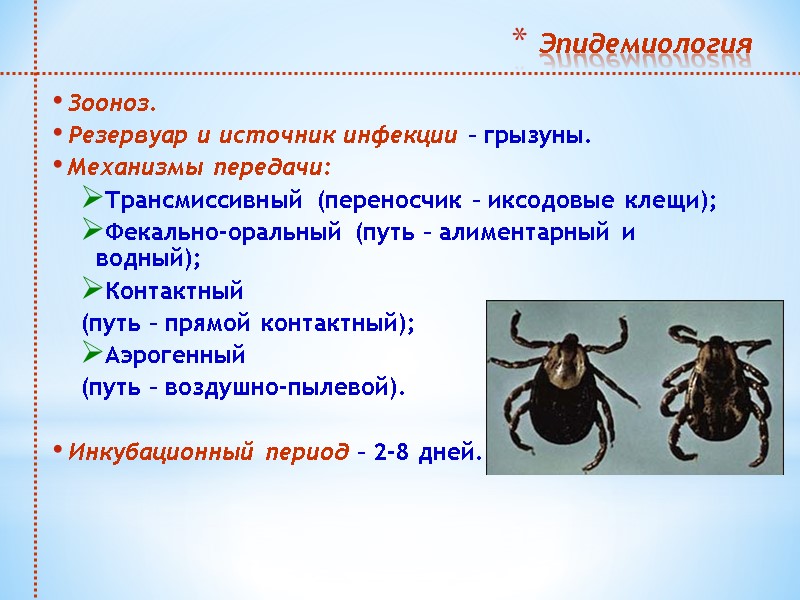Эпидемиология  Зооноз.  Резервуар и источник инфекции – грызуны.  Механизмы передачи: Трансмиссивный
